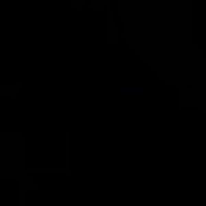 Meet your Posher, Sophia